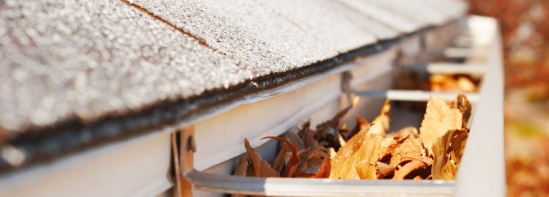Gutter Cleaning